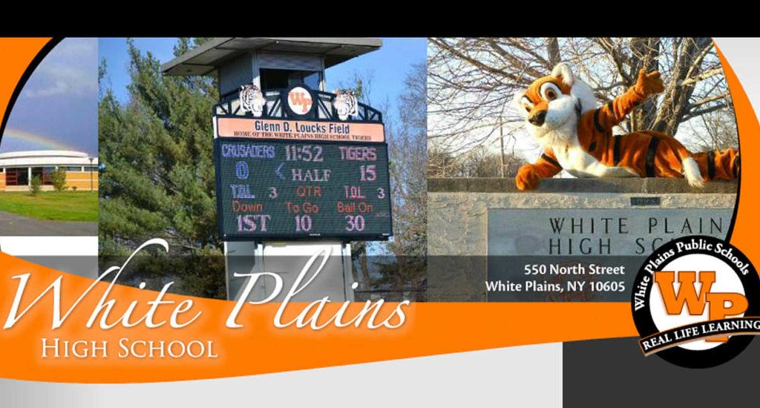 Fine Designs Rode to My Rescue | Fine Designs